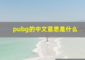 pubg的中文意思是什么