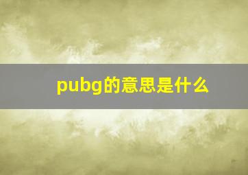 pubg的意思是什么