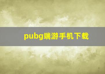 pubg端游手机下载