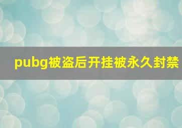 pubg被盗后开挂被永久封禁