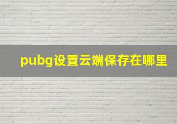 pubg设置云端保存在哪里