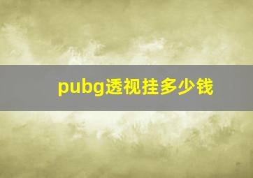 pubg透视挂多少钱