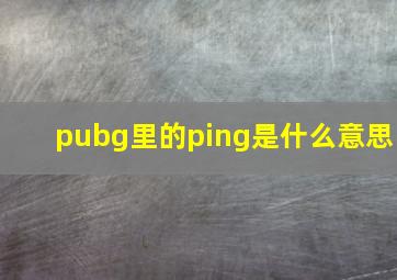 pubg里的ping是什么意思