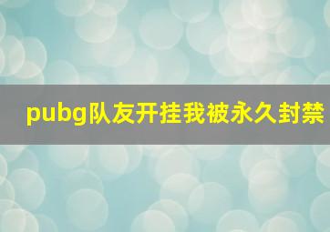 pubg队友开挂我被永久封禁