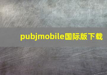 pubjmobile国际版下载