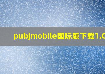 pubjmobile国际版下载1.0.1