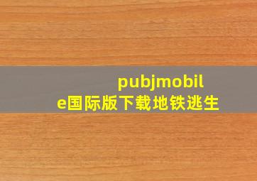 pubjmobile国际版下载地铁逃生