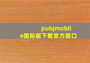 pubjmobile国际版下载官方路口