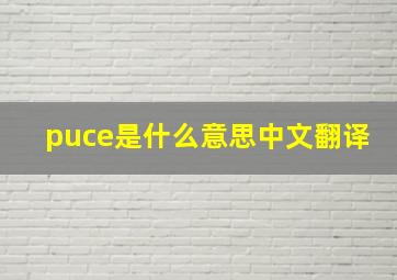 puce是什么意思中文翻译