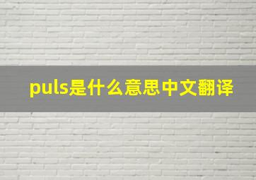 puls是什么意思中文翻译