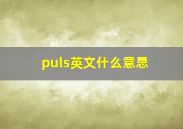 puls英文什么意思