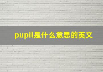 pupil是什么意思的英文