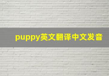 puppy英文翻译中文发音