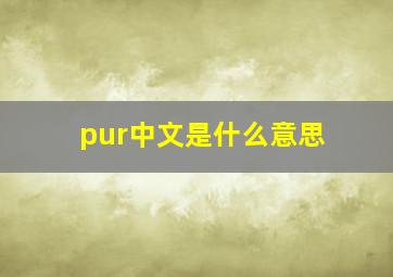 pur中文是什么意思