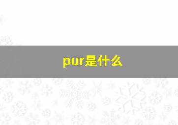 pur是什么