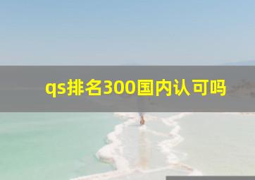 qs排名300国内认可吗