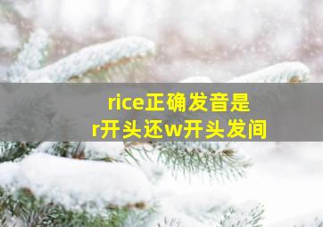 rice正确发音是r开头还w开头发间