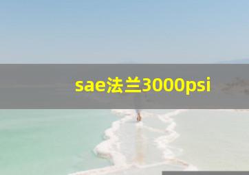 sae法兰3000psi