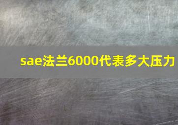 sae法兰6000代表多大压力