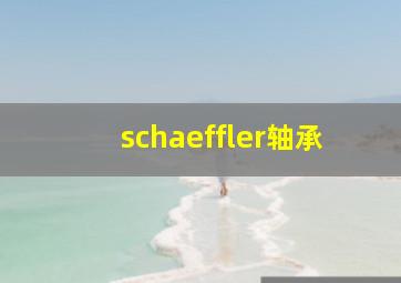 schaeffler轴承