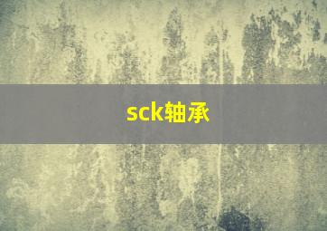 sck轴承