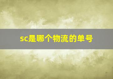 sc是哪个物流的单号