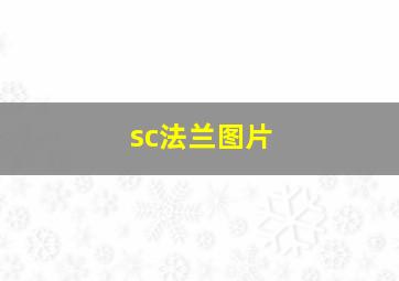 sc法兰图片