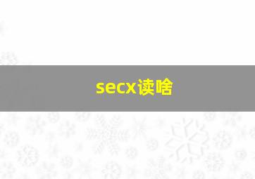 secx读啥