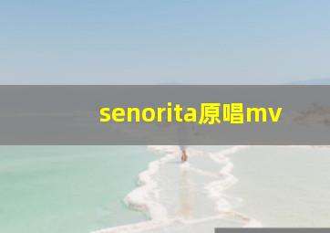 senorita原唱mv