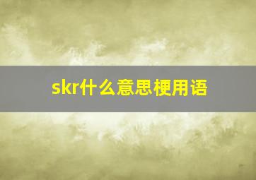 skr什么意思梗用语