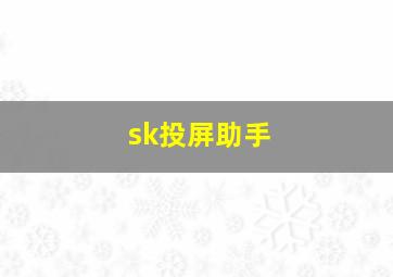 sk投屏助手