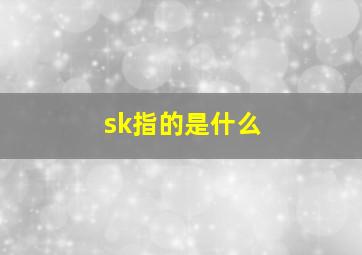 sk指的是什么