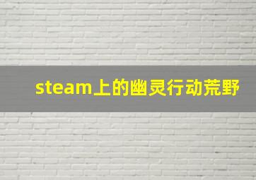 steam上的幽灵行动荒野