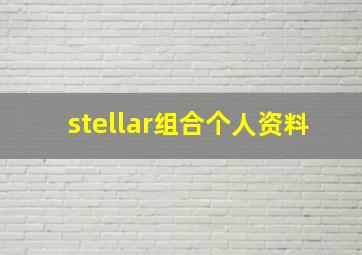 stellar组合个人资料