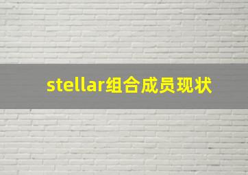 stellar组合成员现状