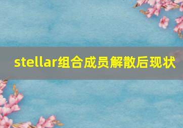 stellar组合成员解散后现状