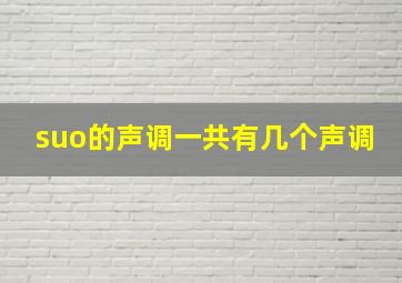 suo的声调一共有几个声调