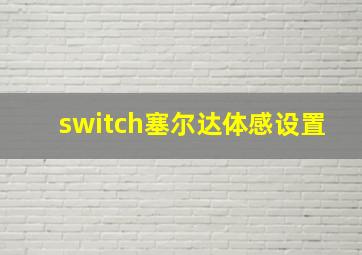 switch塞尔达体感设置