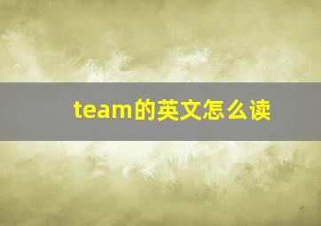 team的英文怎么读