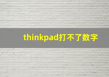 thinkpad打不了数字