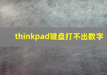 thinkpad键盘打不出数字