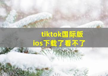 tiktok国际版ios下载了看不了