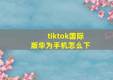 tiktok国际版华为手机怎么下