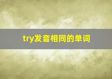 try发音相同的单词