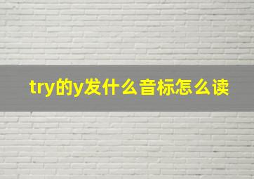 try的y发什么音标怎么读