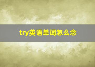 try英语单词怎么念