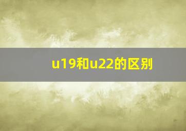 u19和u22的区别