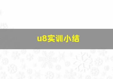 u8实训小结