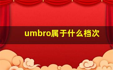 umbro属于什么档次