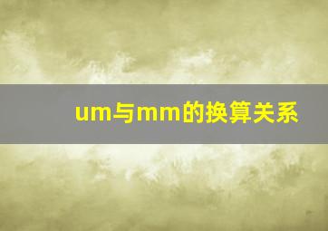 um与mm的换算关系